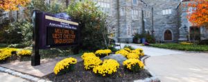 Best Online Master's in Business Administration Programs ...