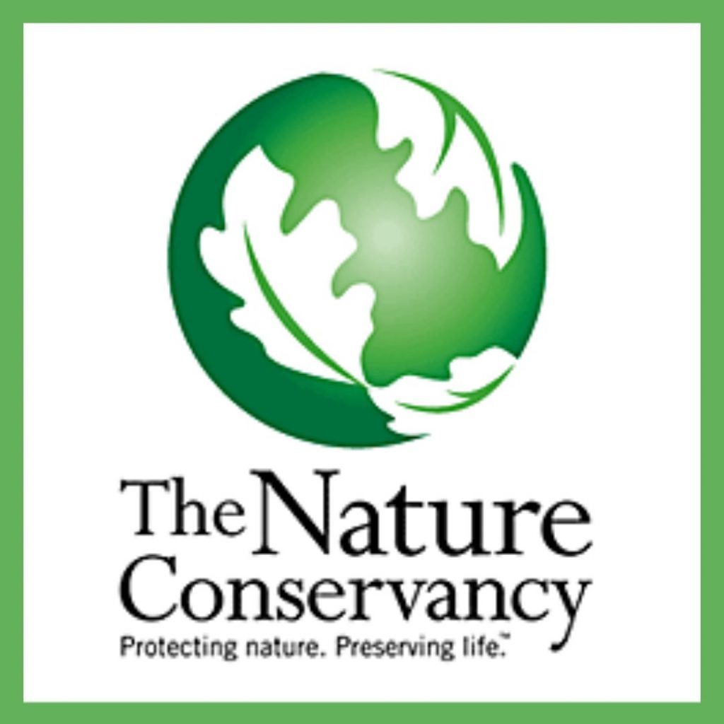 A logo for the Nature Conservancy for our article on the most profitable non profit organizations