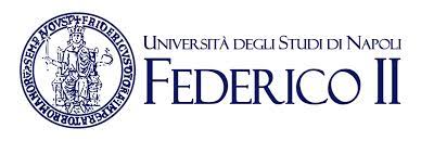  Oldest Universities in the World-University of Naples Frederico II