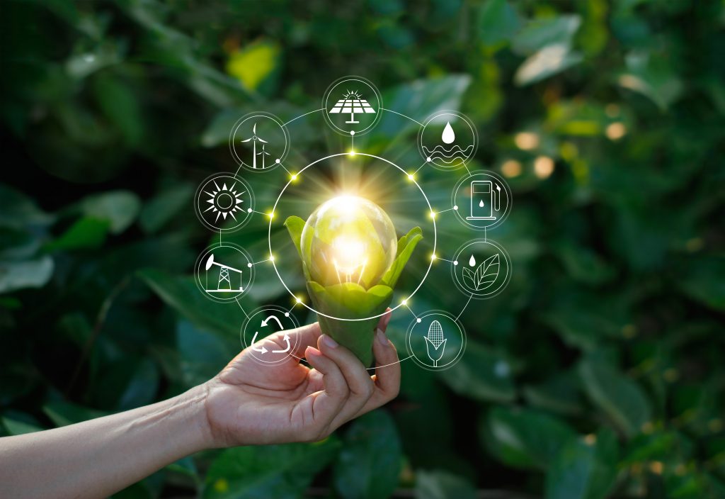Best Paying Jobs in Renewable Energy