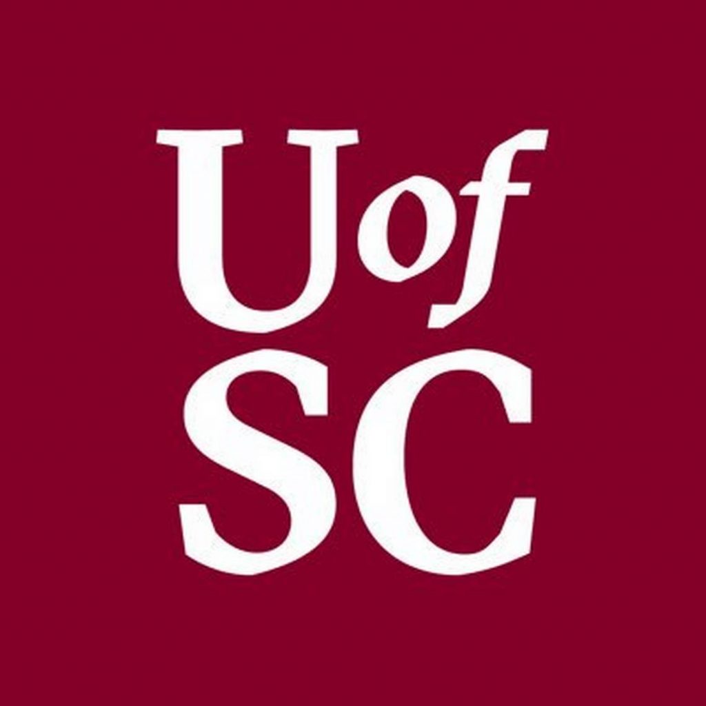 university of south carolina online phd computer science