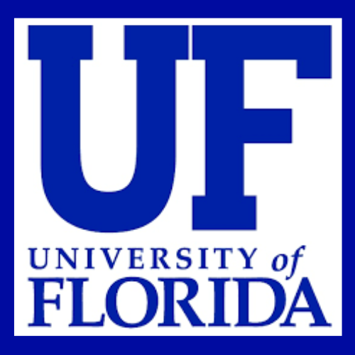 Online DBA Programs: University of Florida