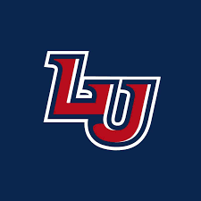 Liberty University: best online history master's degree