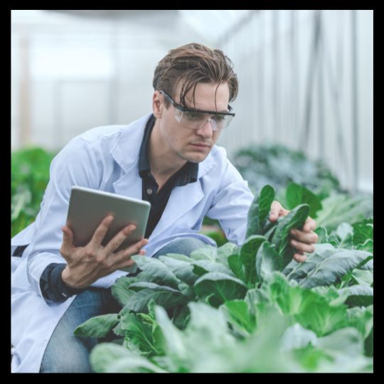 Agricultural and Food Scientist