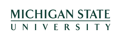 Michigan State University
Psychology Online PhD