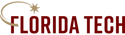 Florida Institute of Technology, Online DBA, business management