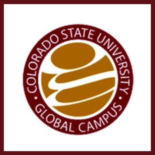 Colorado State University Global
Best Online Master’s in Human Resources